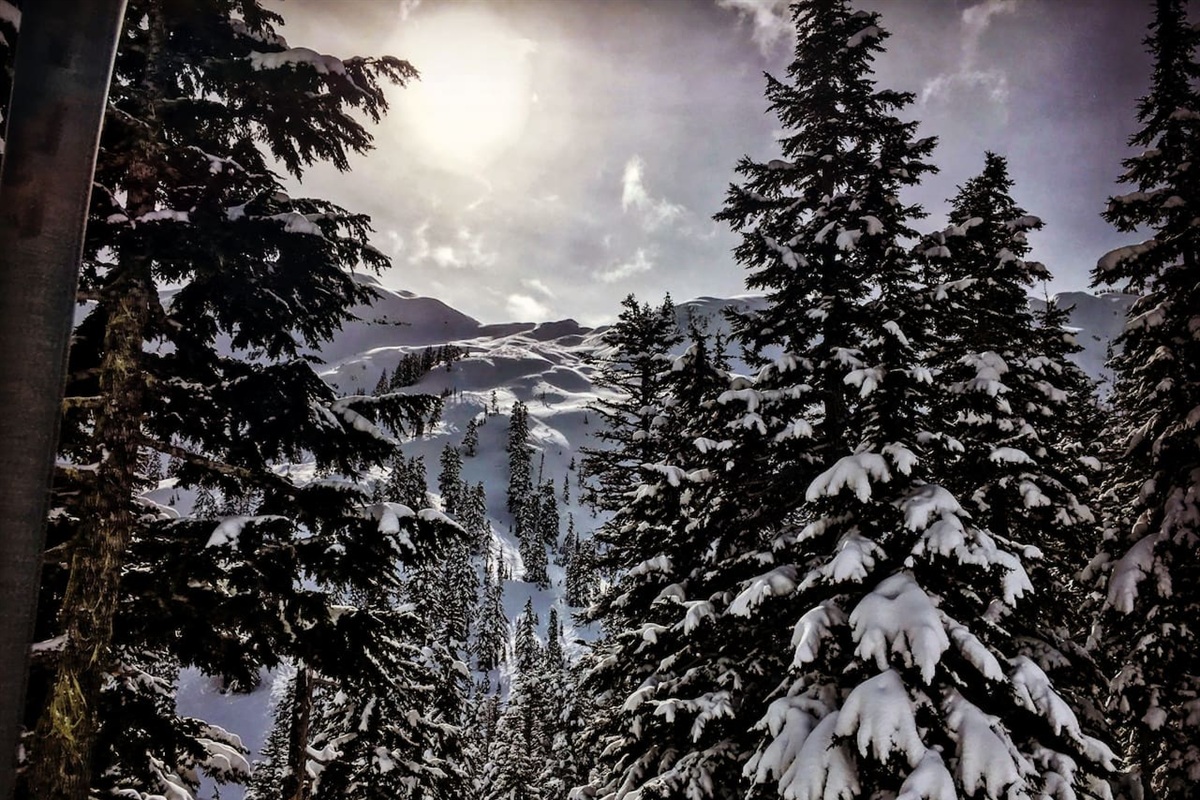 A view from Chair 8 at Mt Baker Ski Area