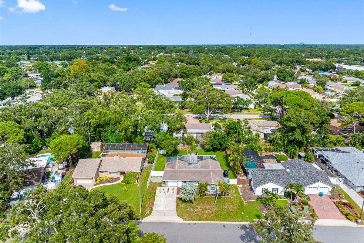 Aerial View of the Neighborhood