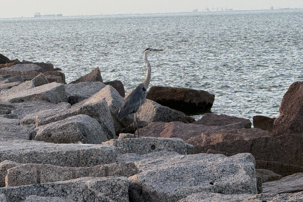 Views around the island