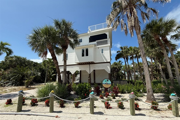Welcome to Coconut Castaway!