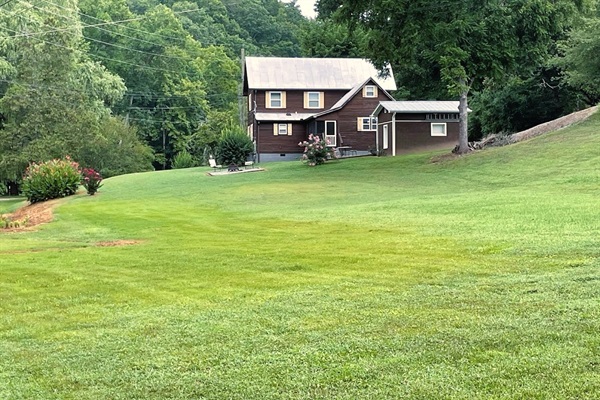 Back yard