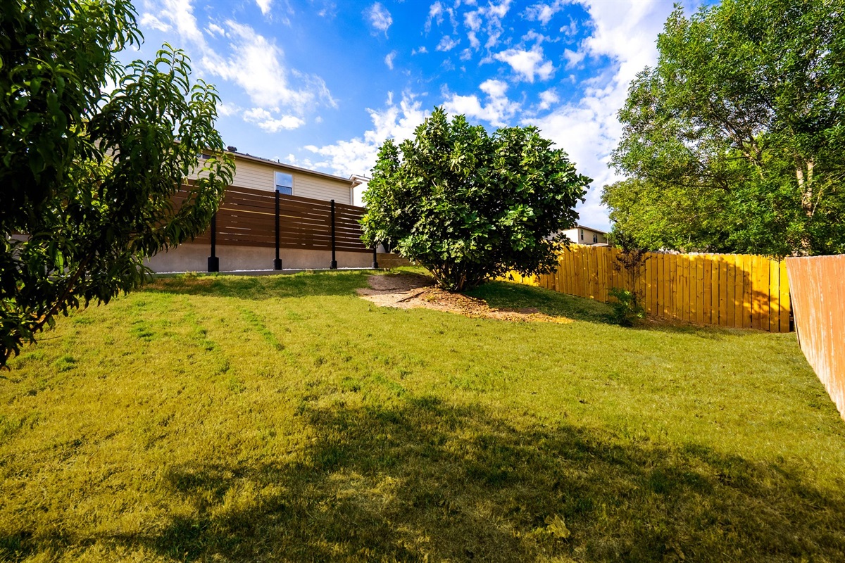 Private Backyard