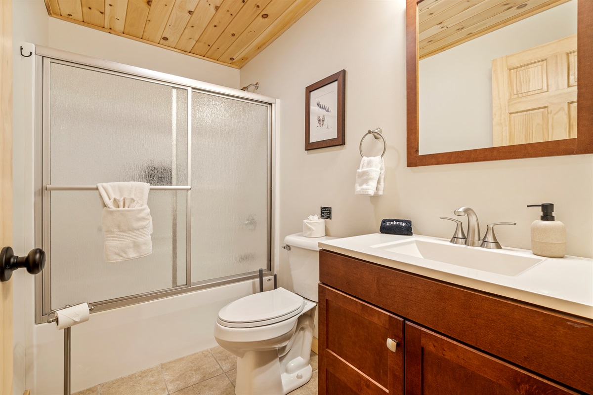 Another full bathroom in our ground floor