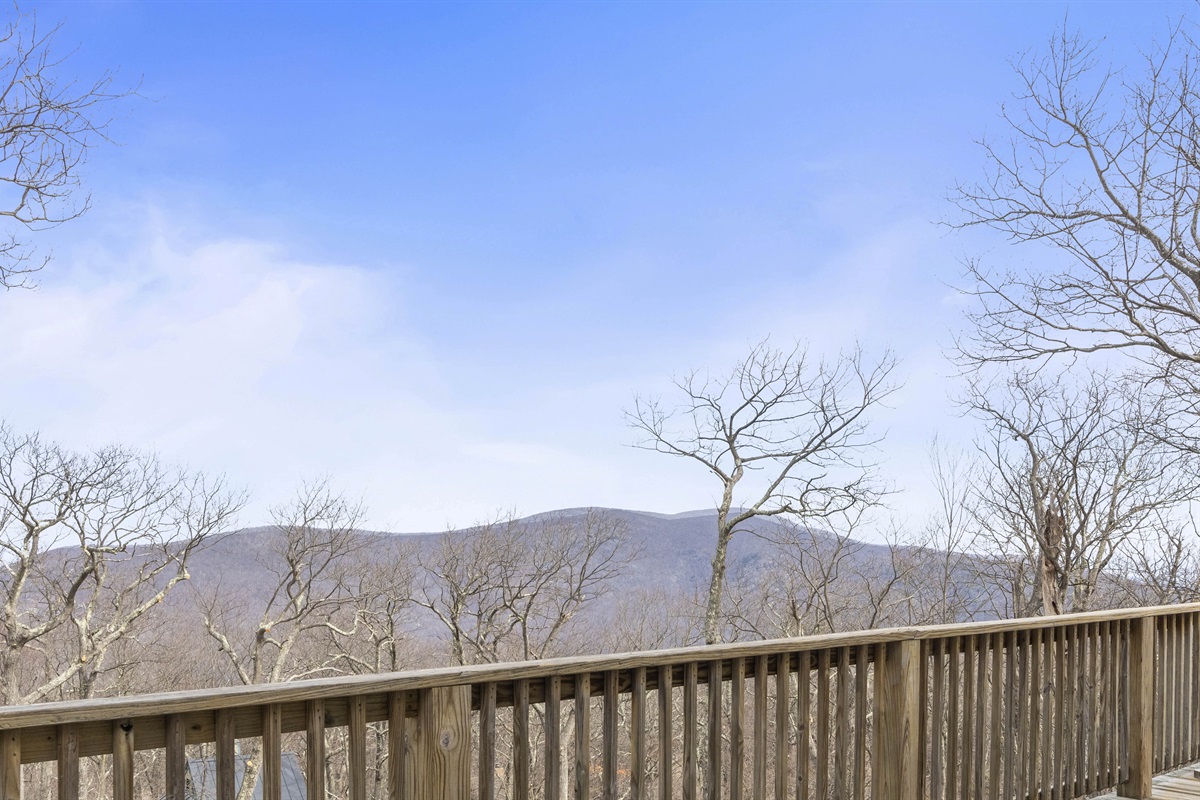 Bare winter trees open up expansive, long-range Blue Ridge vistas—perfect for quiet mornings with coffee or a sunset wind-down on the front deck