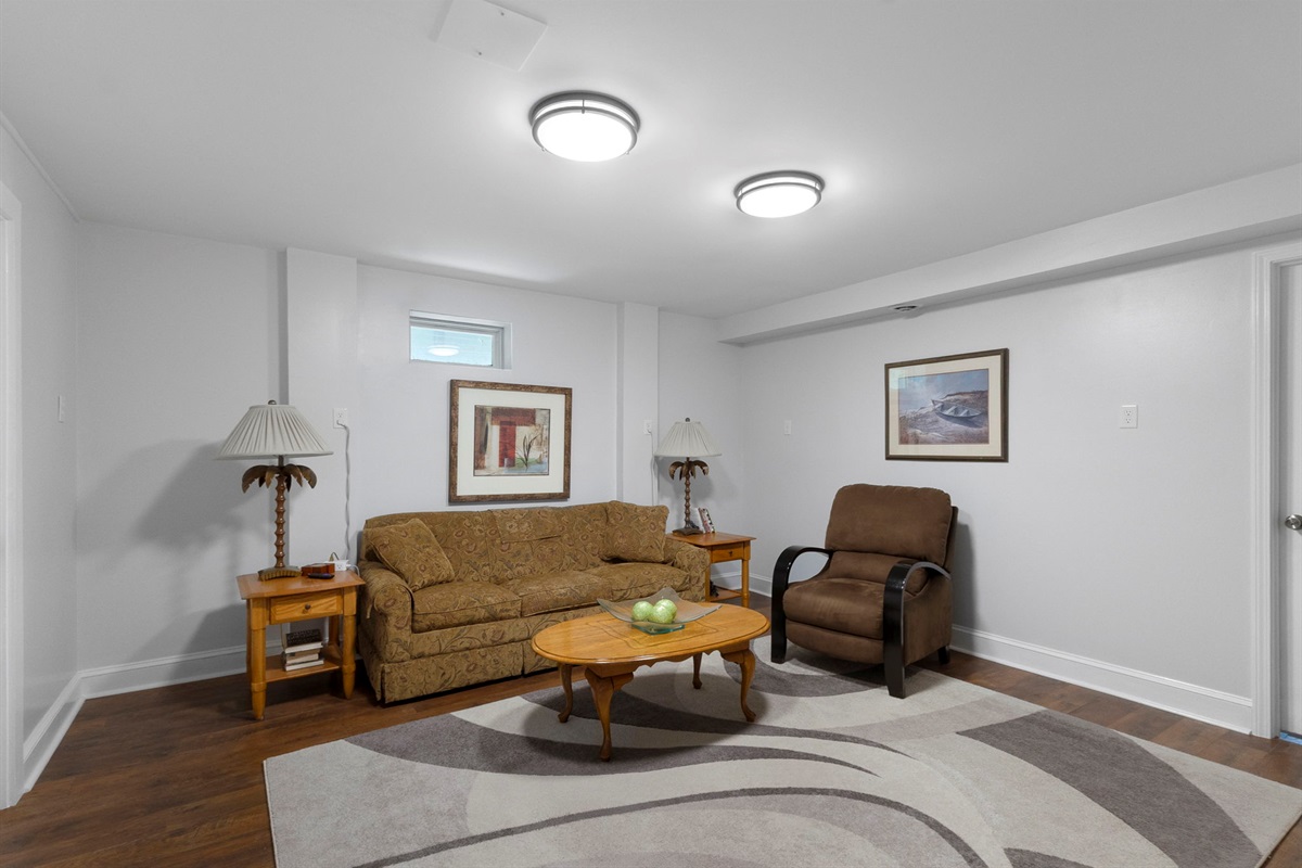 Bonus downstairs tv room with pull-out couch. Send the kids, big and small, to this room to play the video games that they brought.