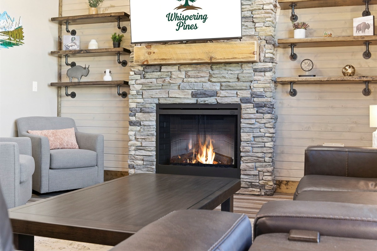 Electric Fireplace