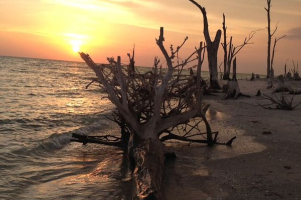 STUMP PASS BEACH STATE PARK 1 MILE WALK DOWN FROM PRIVATE BEACH 