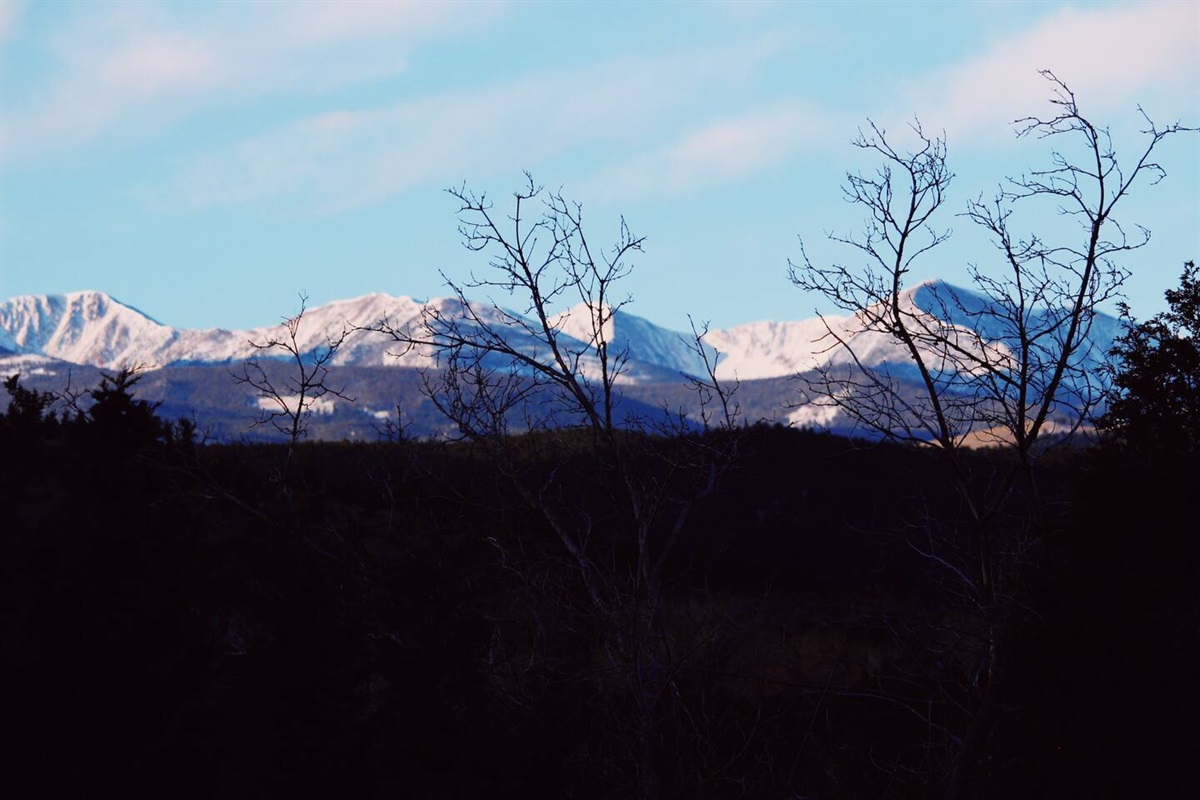 One of our favorite features of this area is the Highland Mountains range off in the distance. The light hits the range differently throughout the day and the view never gets old.