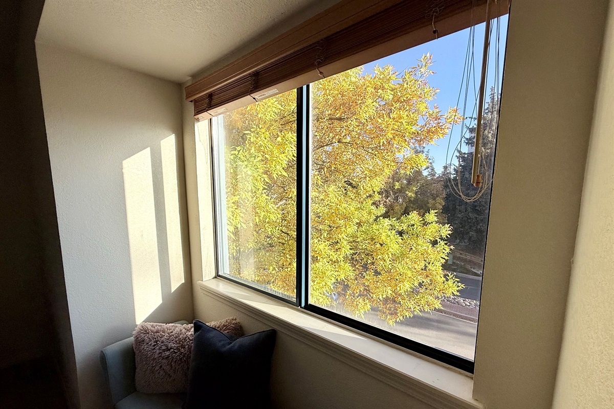 View from 2nd bedroom, beautiful trees surround the property.