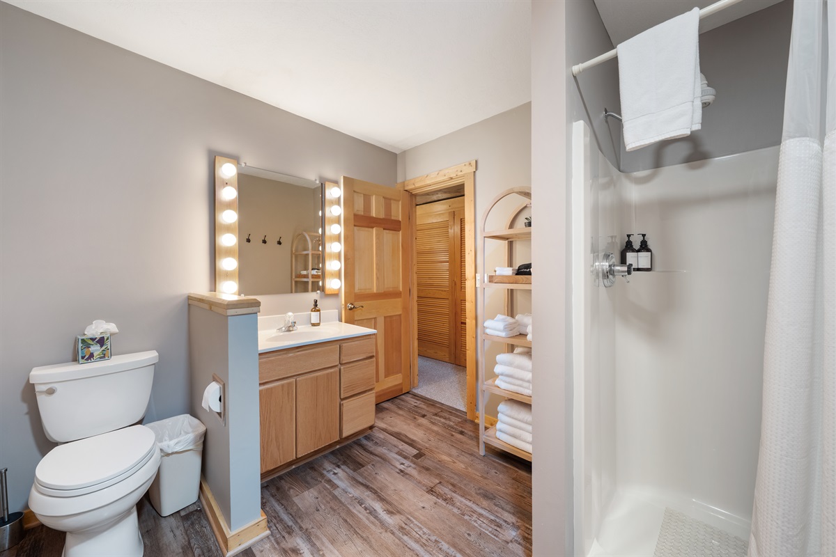 Lower level bathroom