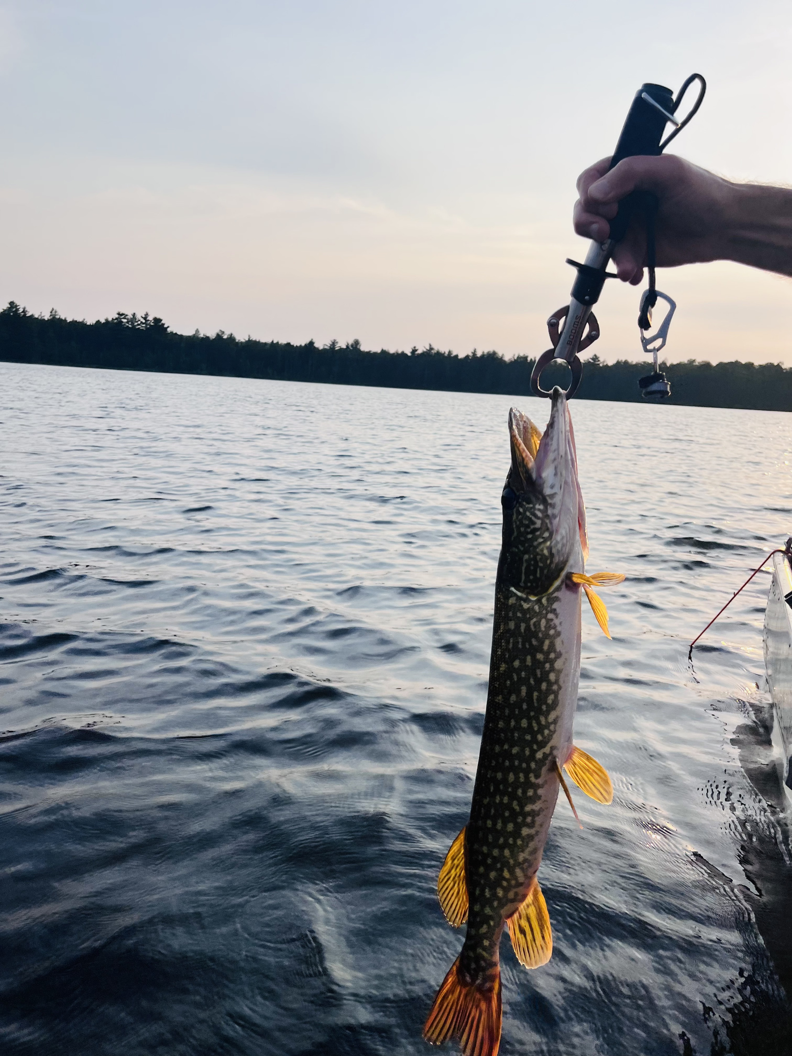 The fishing is great!
