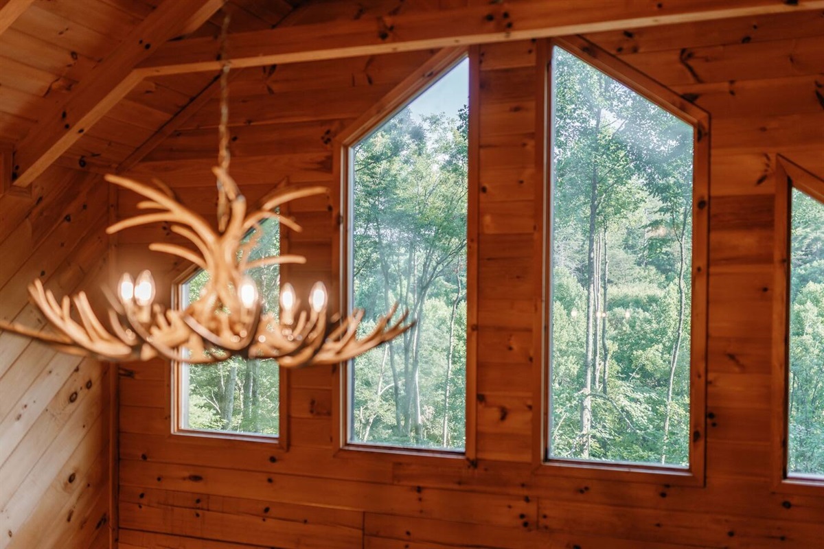 forest views from upper level