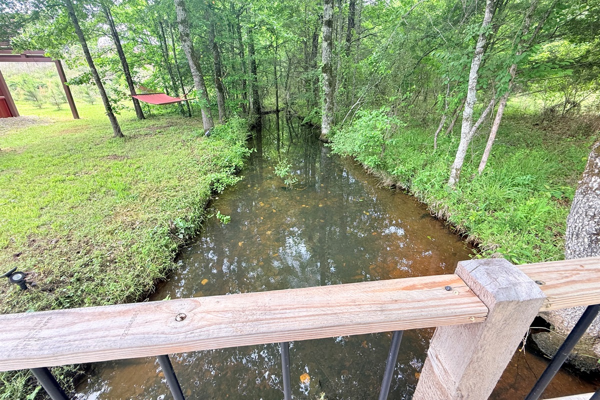 Seasonal Creek w/bridge