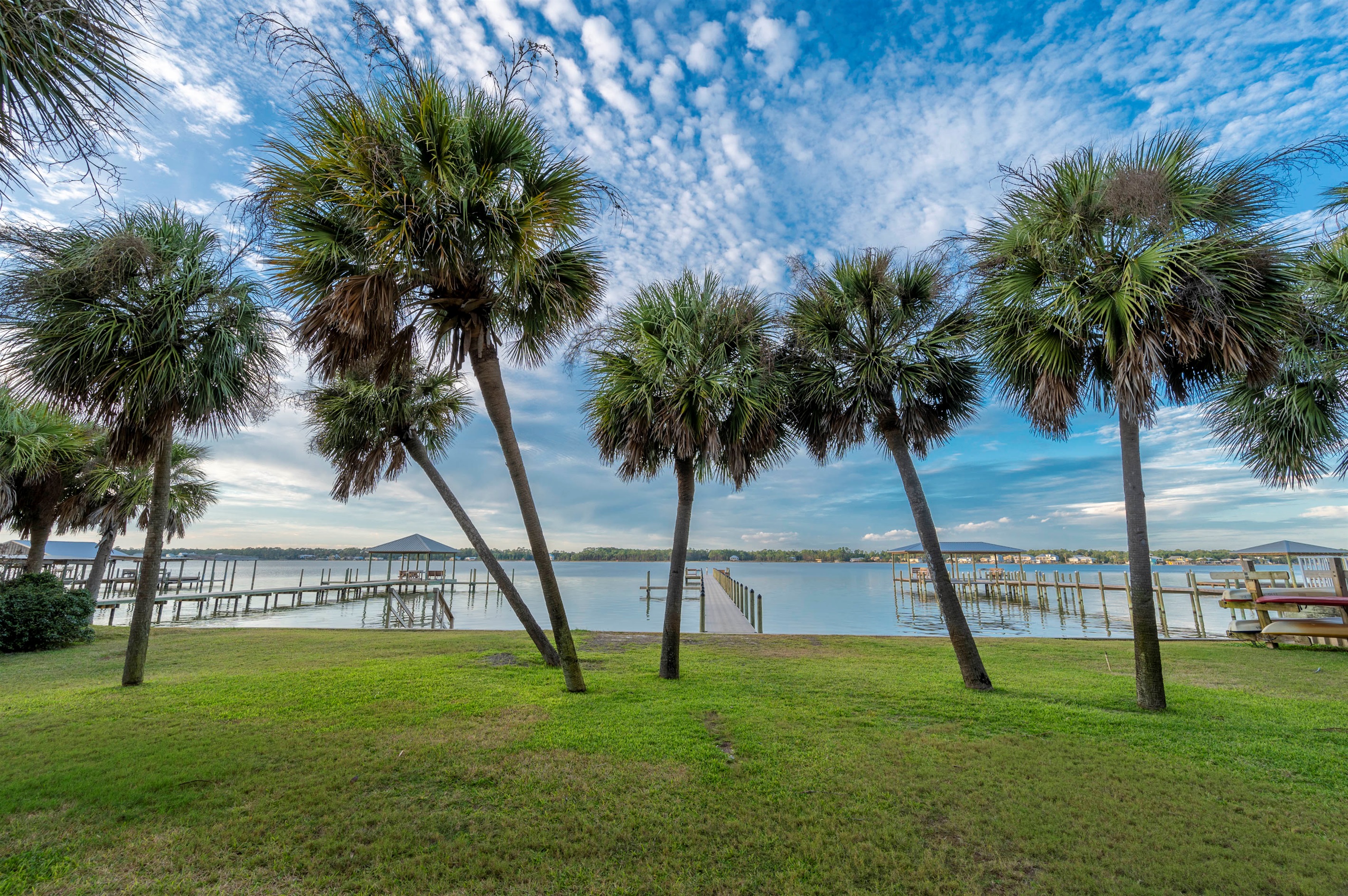 Relax by the serene lakeside with palm trees, vibrant skies, peaceful dock views, and the soothing sounds of nature.