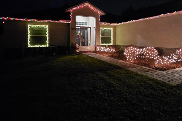 Holiday Lights