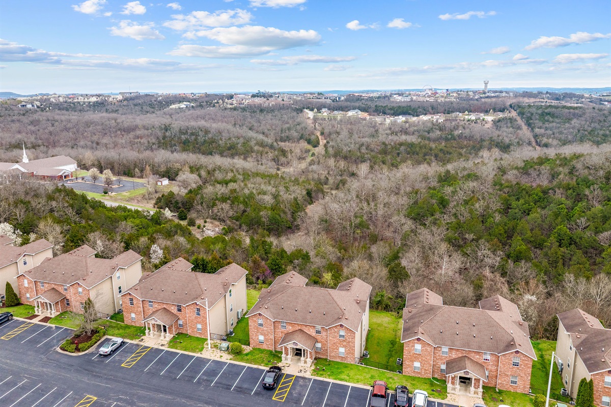 Aerial view of the buildings and surrounding forest