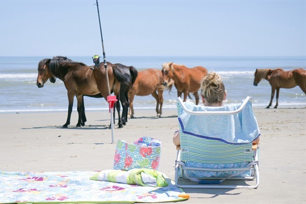 Relaxation or adventure? There's something for everyone.