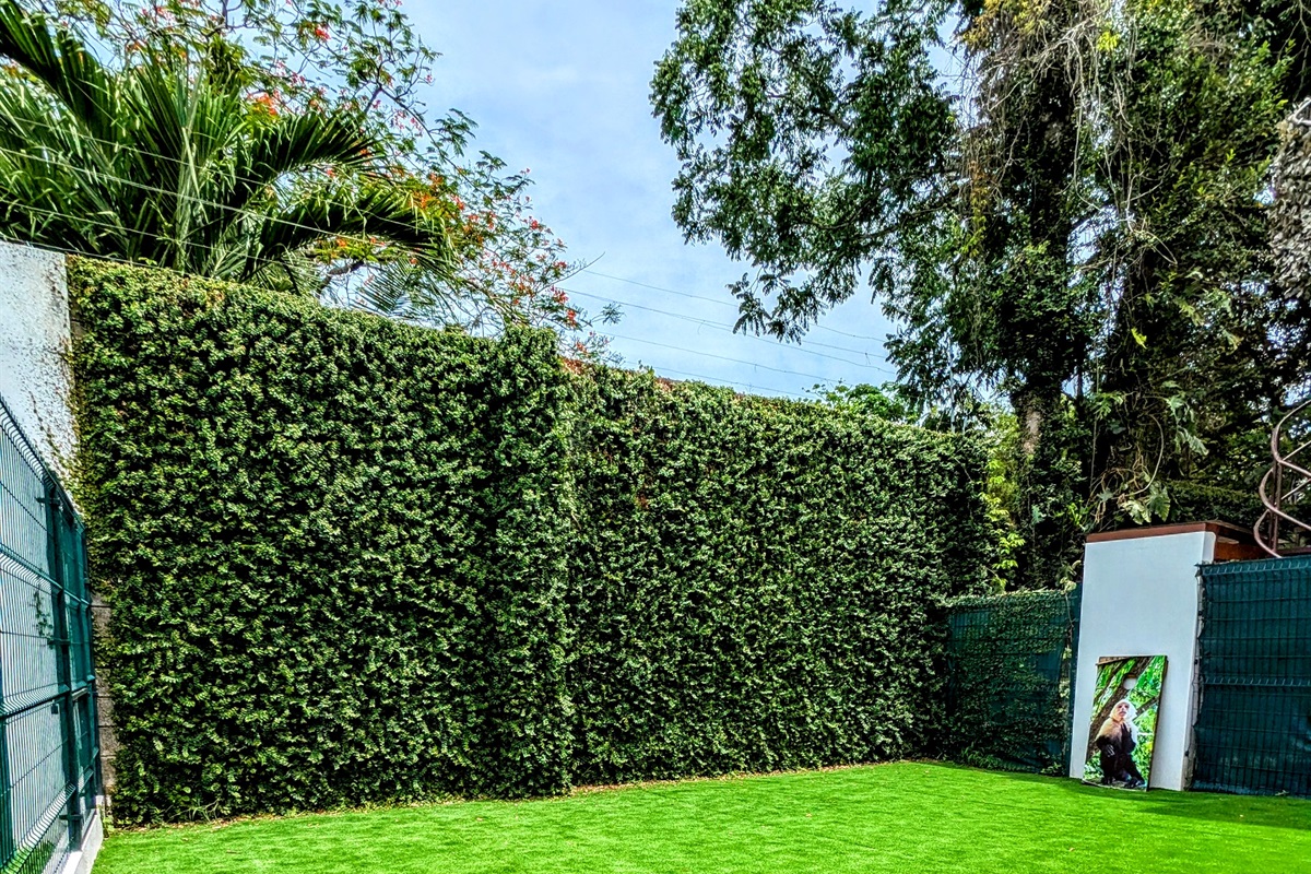 Backyard space with Corn Hole games