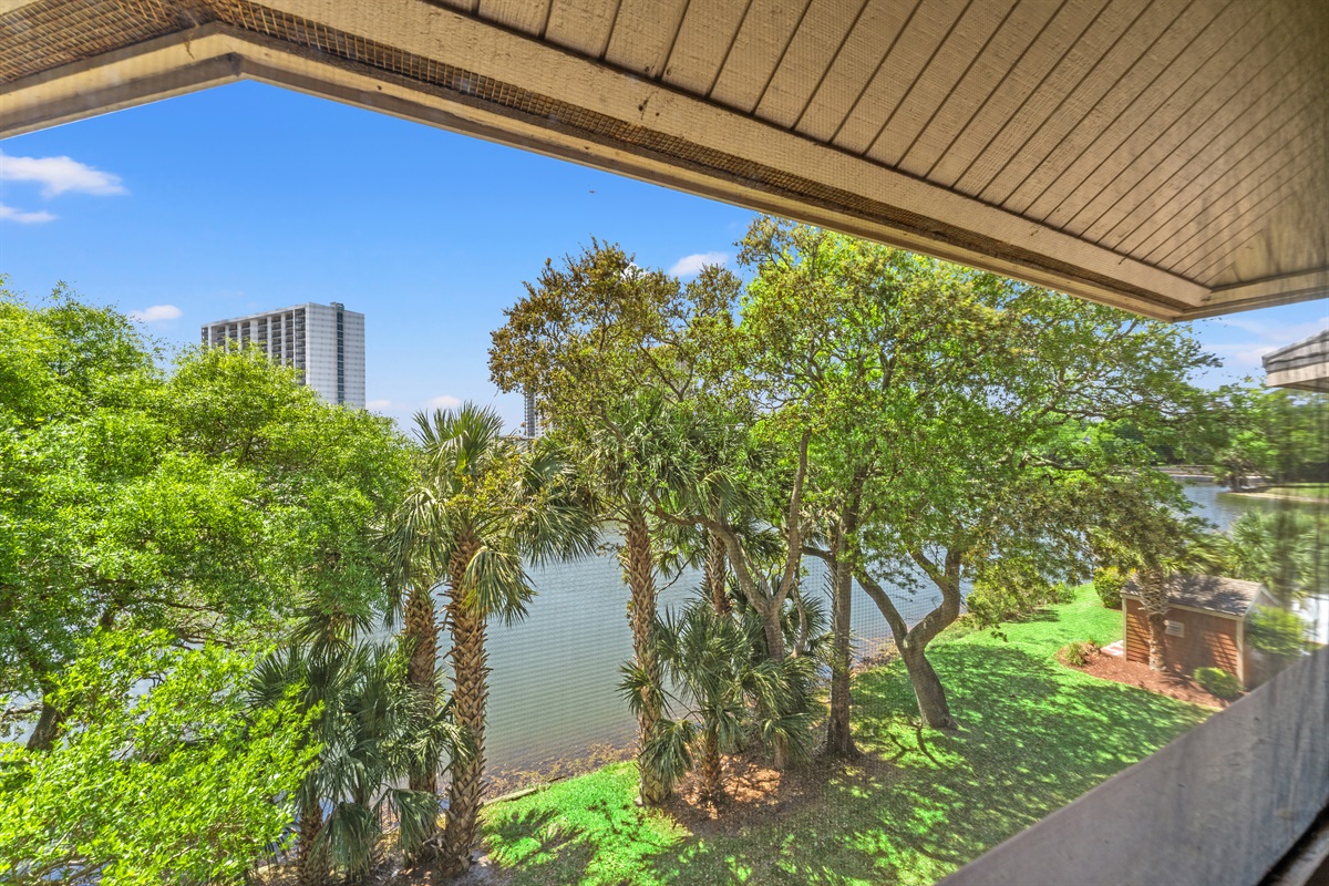 Lush greenery around Laurel Court