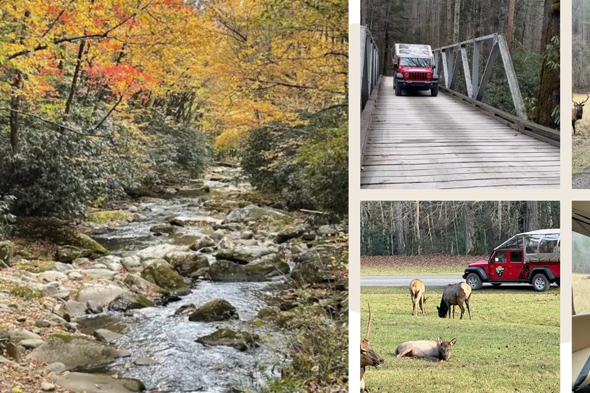 Scenic Tours and Adventures