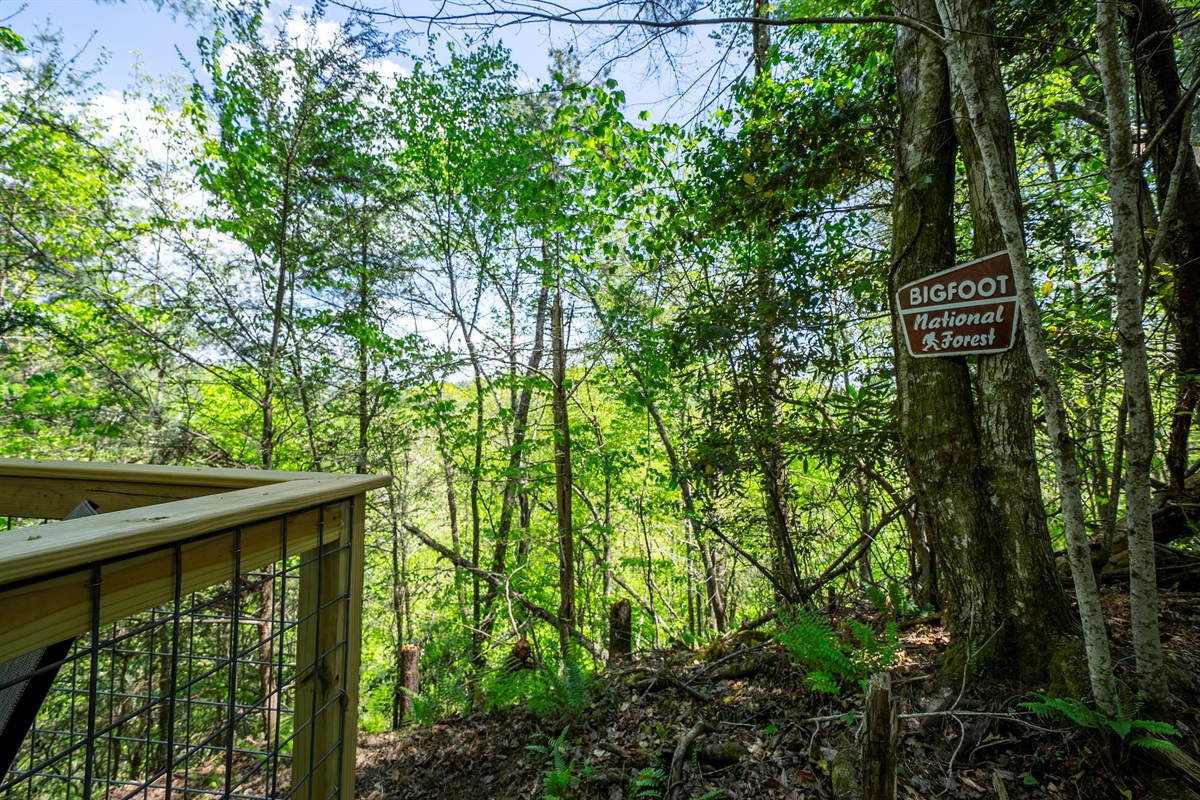 Unwind in the quiet backyard setting, where nature, fresh air, and the sound of the creek set the tone for a relaxing stay.