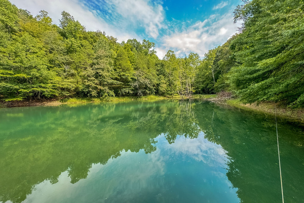 Our favorite fishing spot off of the dock