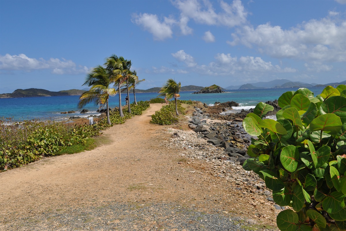 A peaceful walkway leading you from the resort to the crystal-clear Caribbean waters.