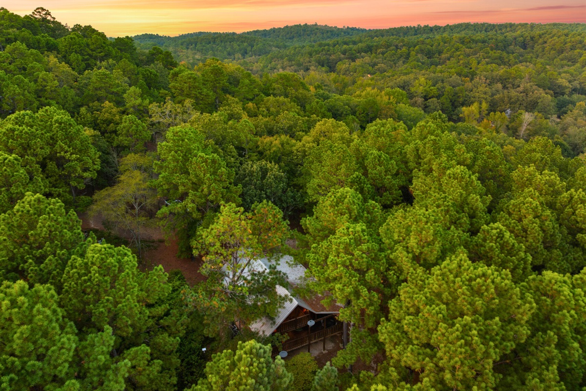 Drone view of endless forest and your private cabin escape.