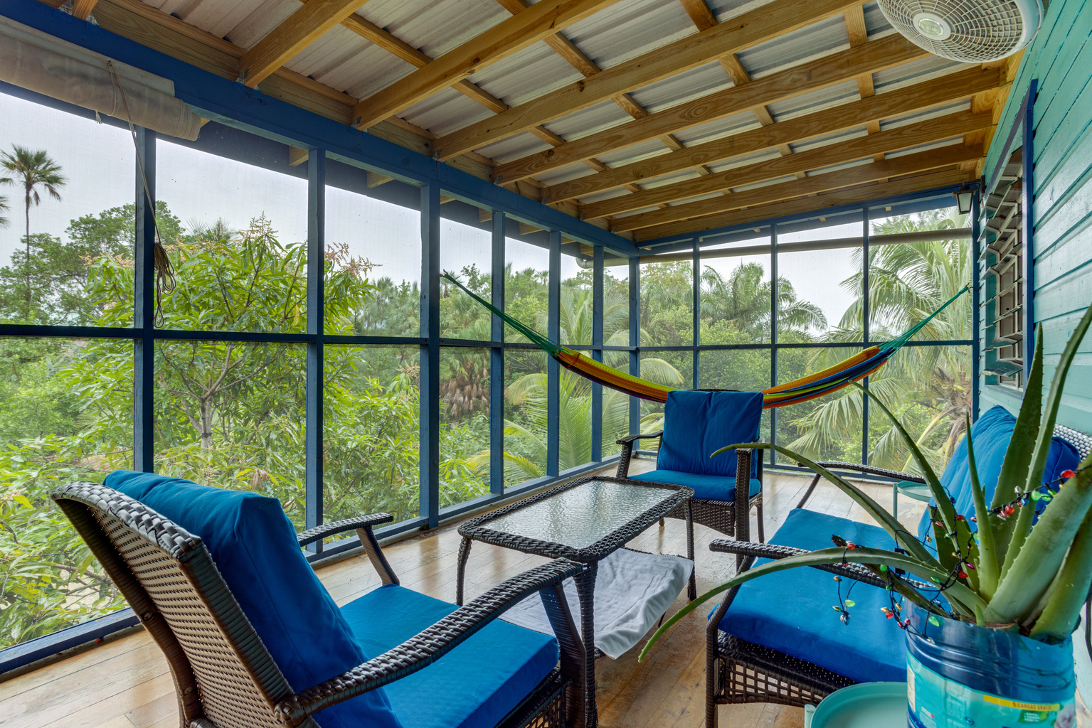 Deck with Hammock