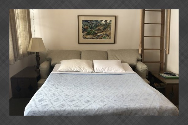Full-size sleeper sofa.