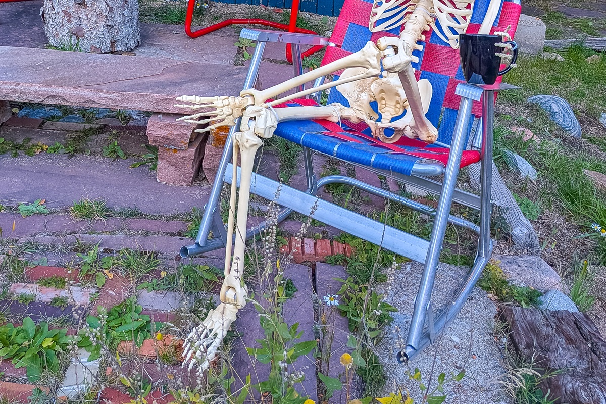 Spooky sightings are waiting for you!