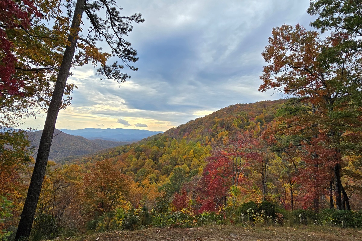 A peaceful outlook over nature’s beauty