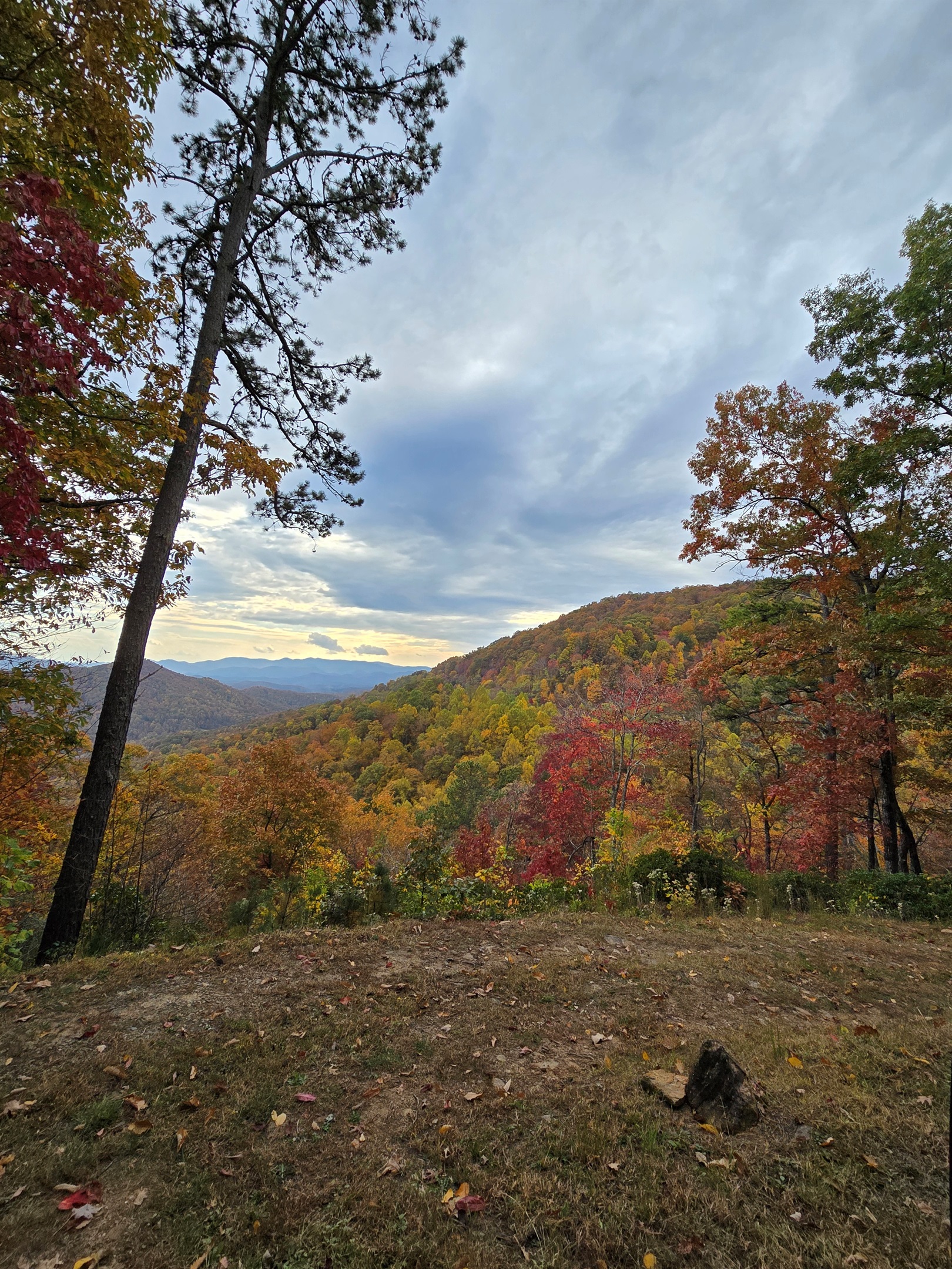 A peaceful outlook over nature’s beauty