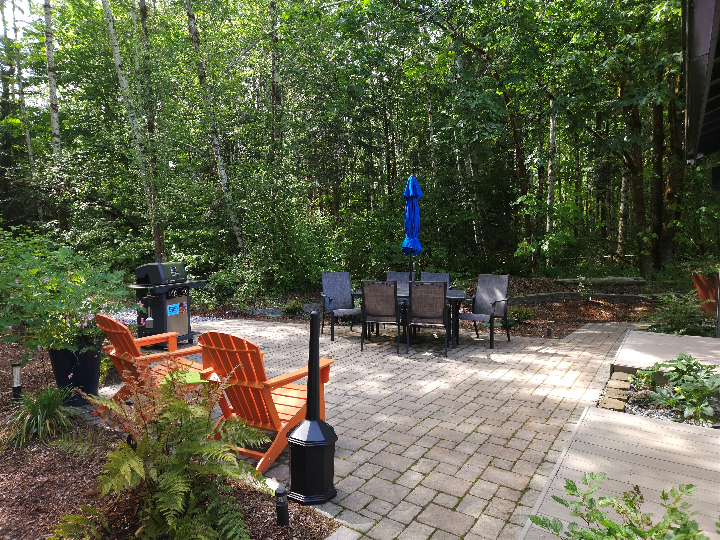 A wetland forest trail departs the patio and intersects the property-wide trail system, leading to picnic areas and the shores of Mill Creek, where you may launch kayaks into Lake Isabella.