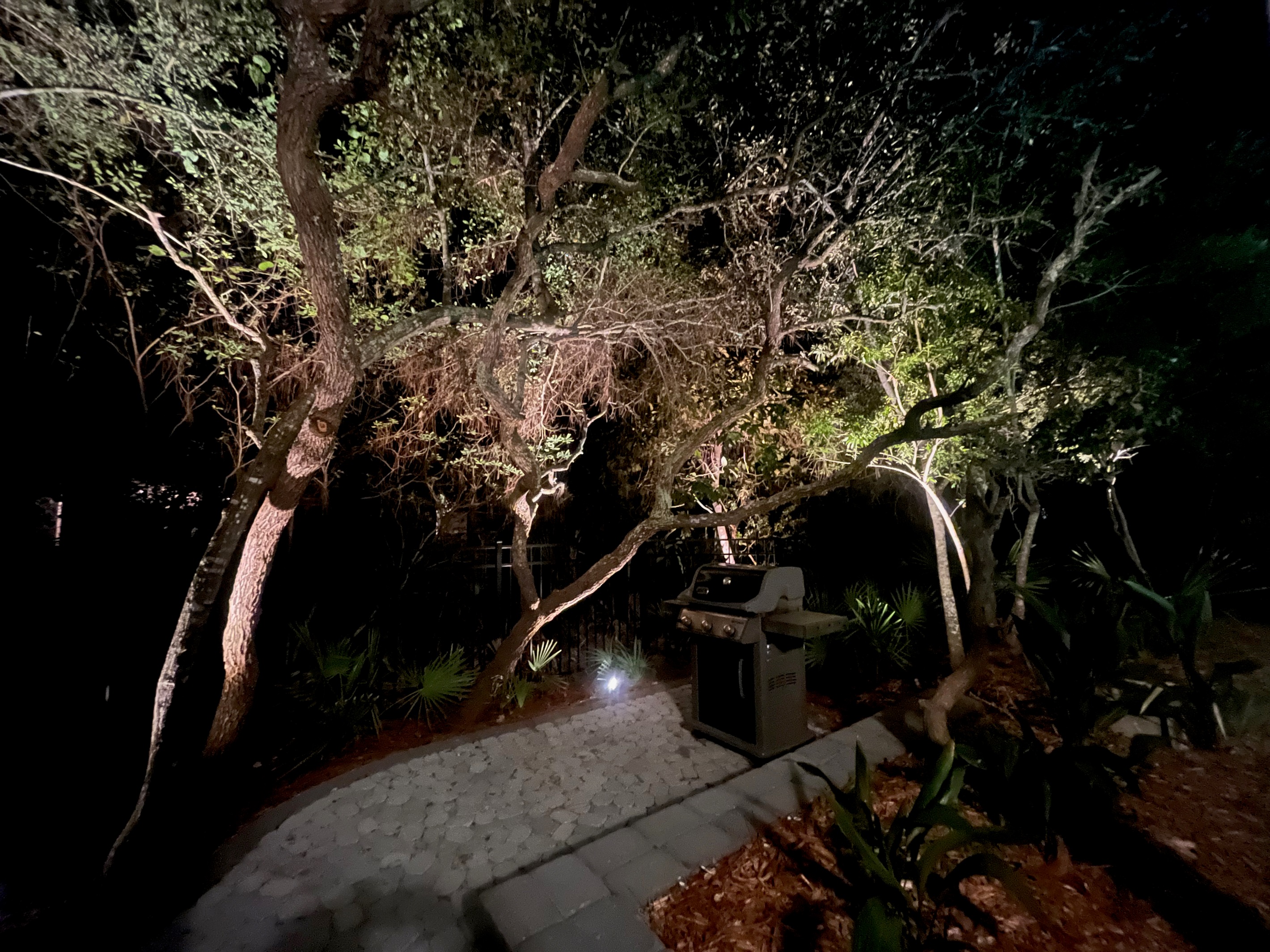 You will want to stay up long after the sun goes down and enjoy,