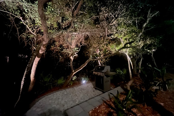 You will want to stay up long after the sun goes down and enjoy,