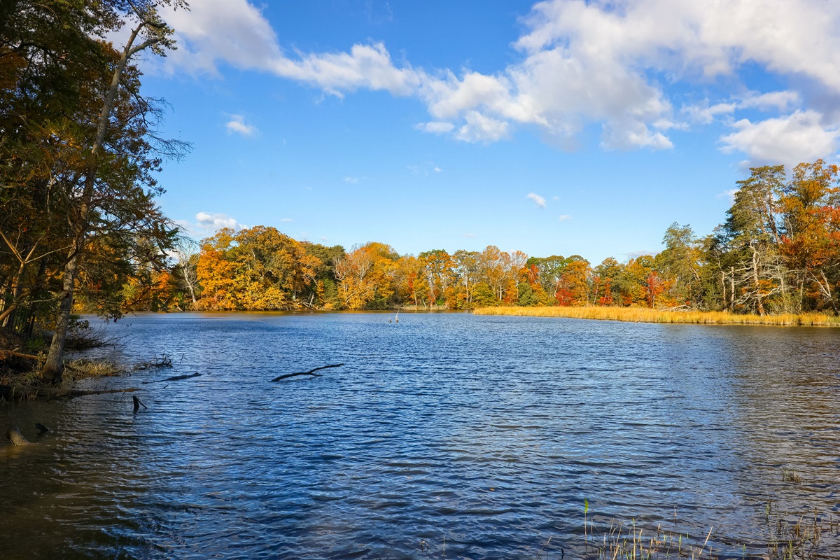 Deep Water, as seen from the backyard