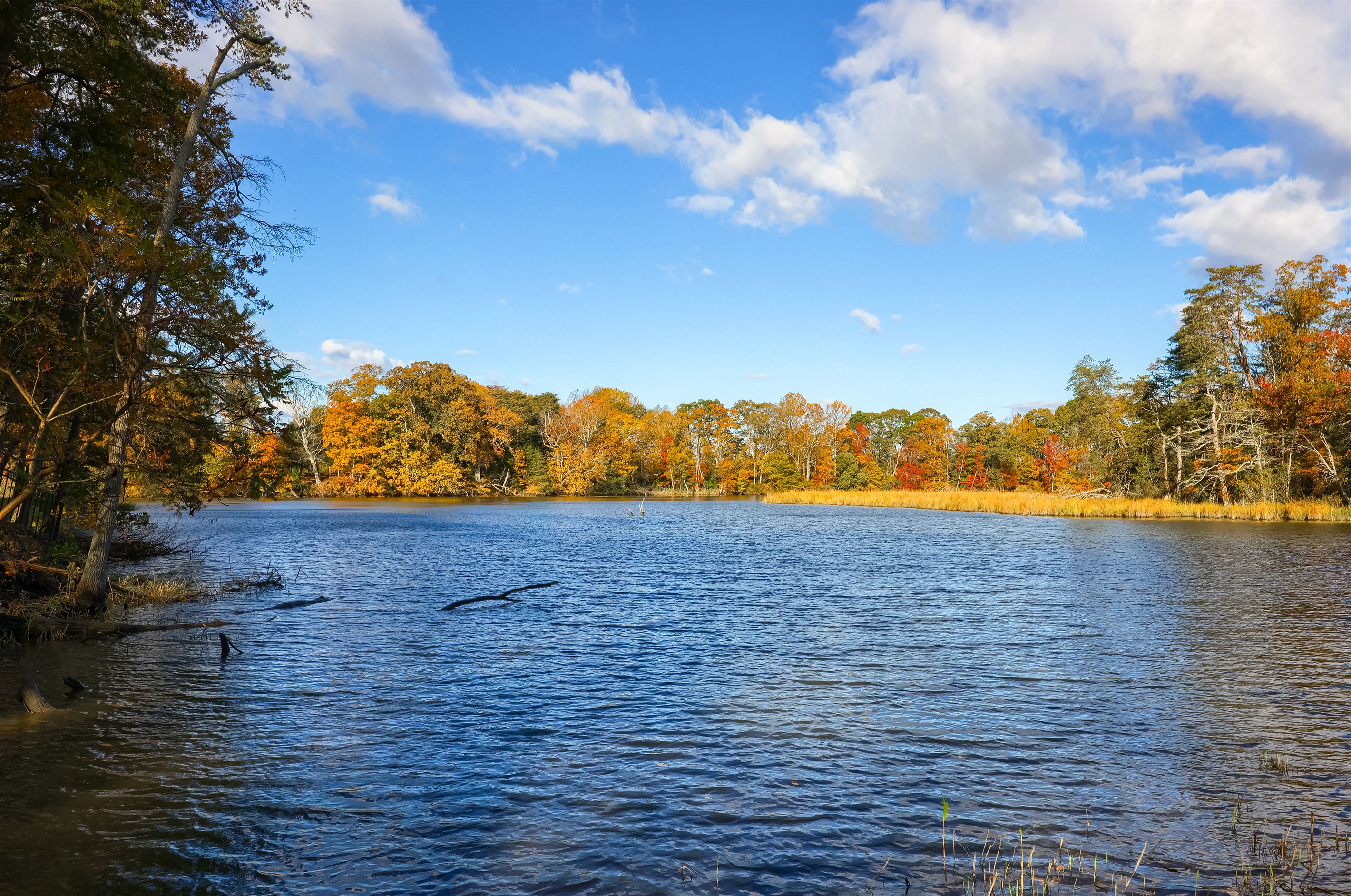 Deep Water, as seen from the backyard