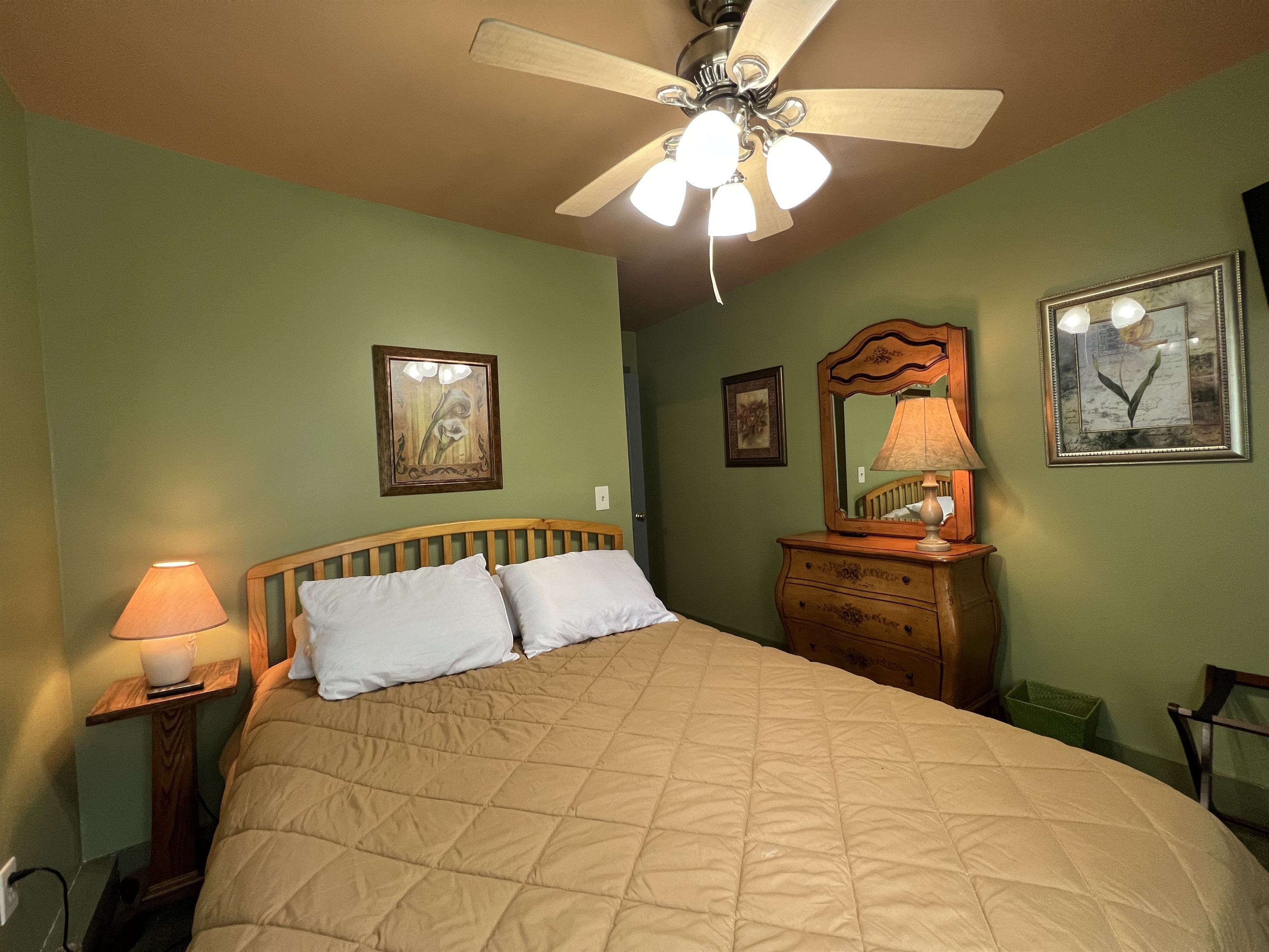 Dandelion main house Queen bedroom #4  with A/C and TV.