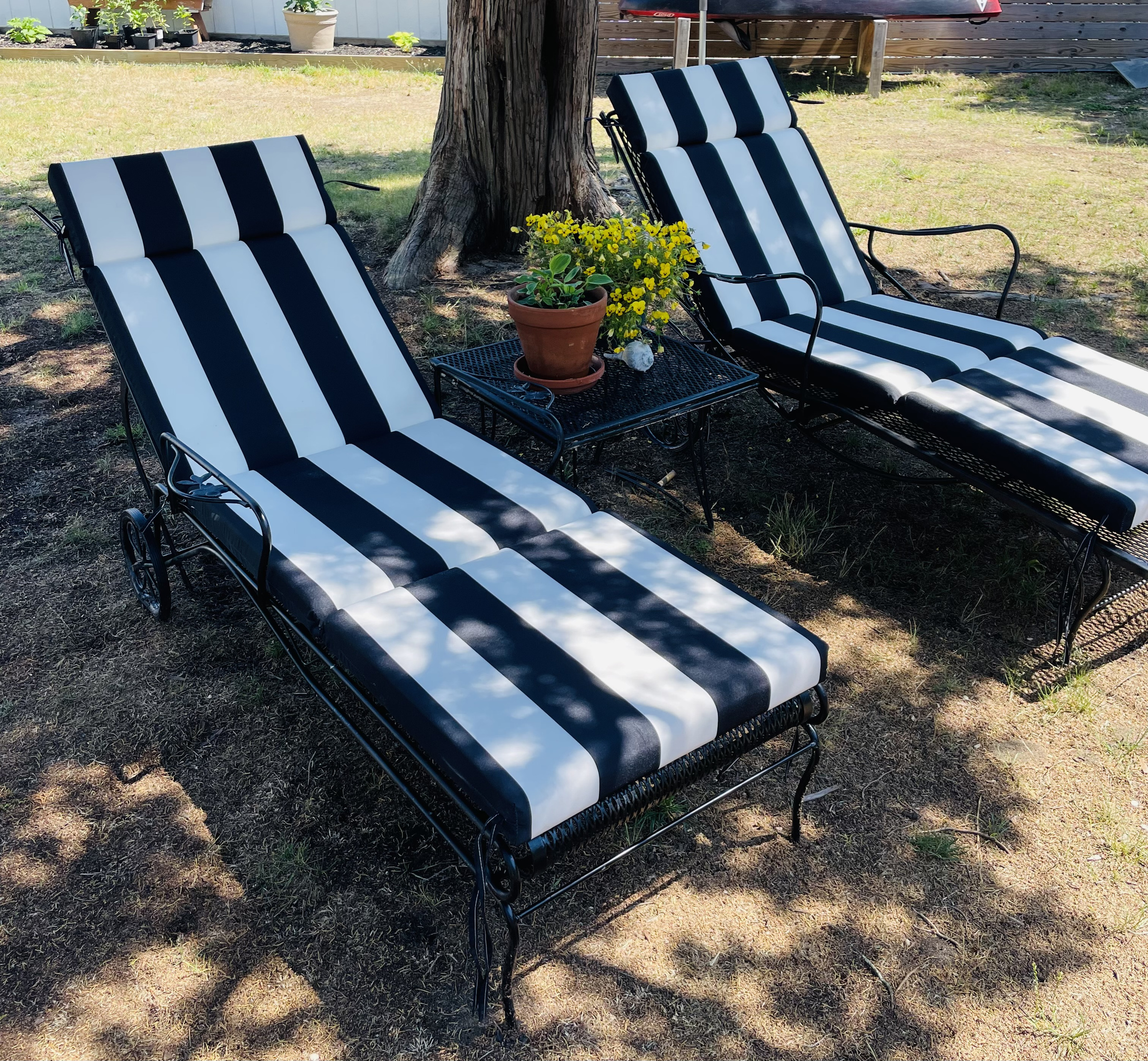 Vintage chaise lounge chairs under our big Red Cedar tree.