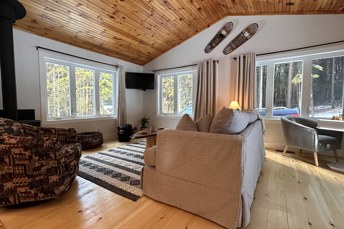Living room with windows everywhere and TV!