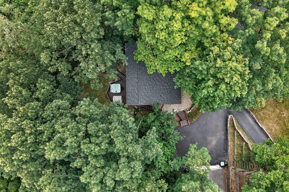 Rooftop view beneath the forest canopy