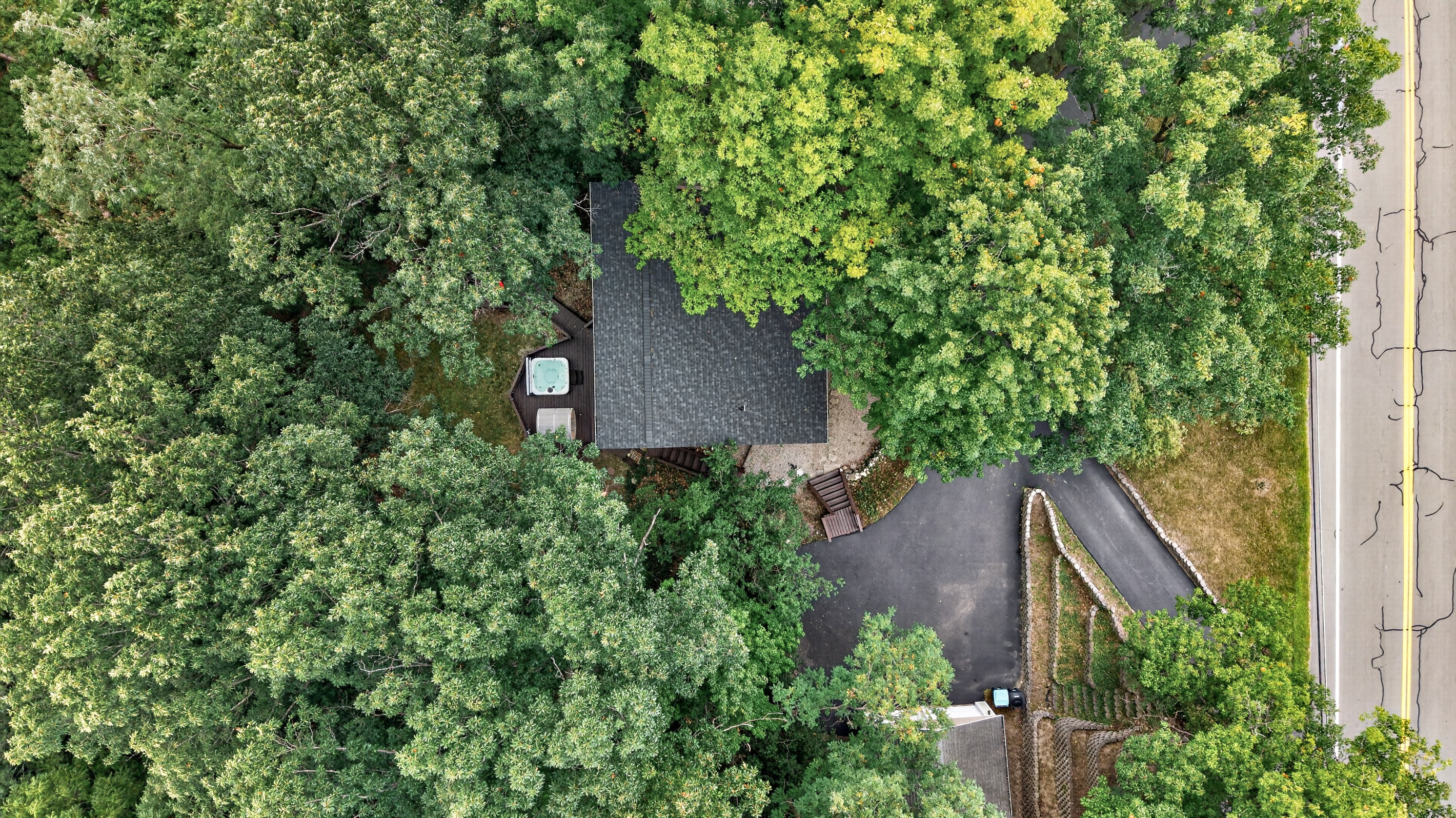 Rooftop view beneath the forest canopy