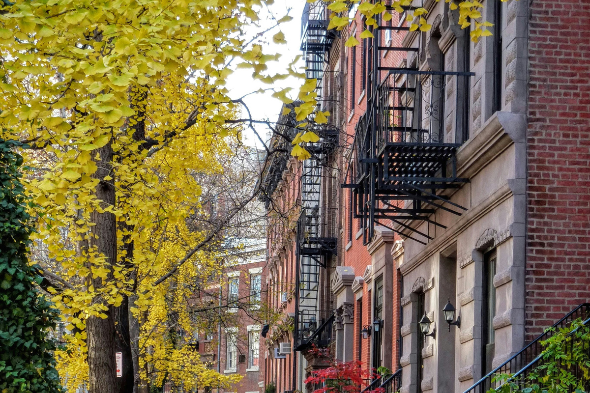 Fall foliage on a classic West Village block — Downtown Manhattan