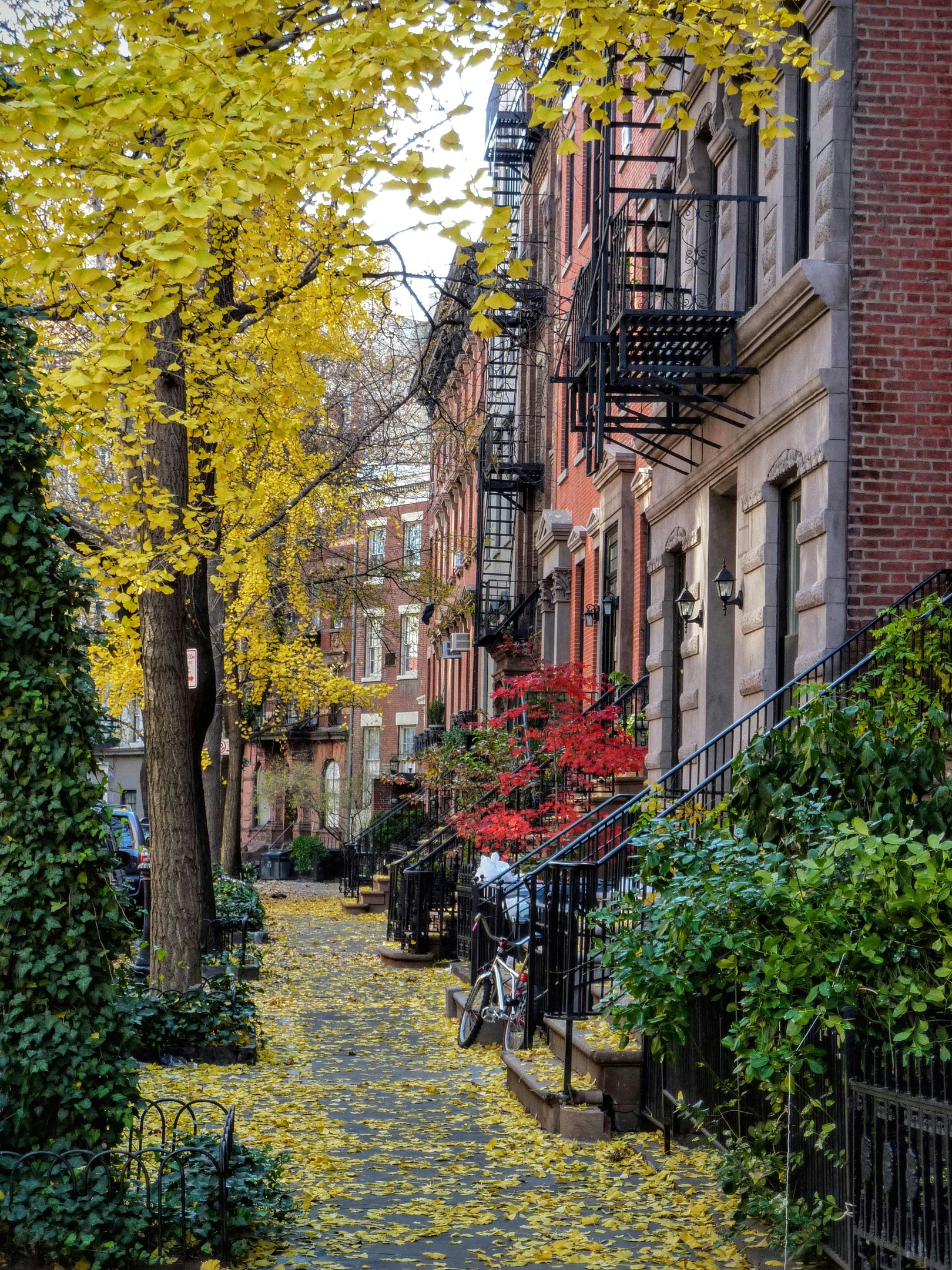 Fall foliage on a classic West Village block — Downtown Manhattan