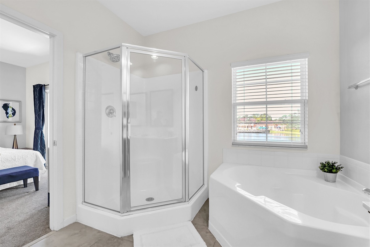 Primary bath tub and shower