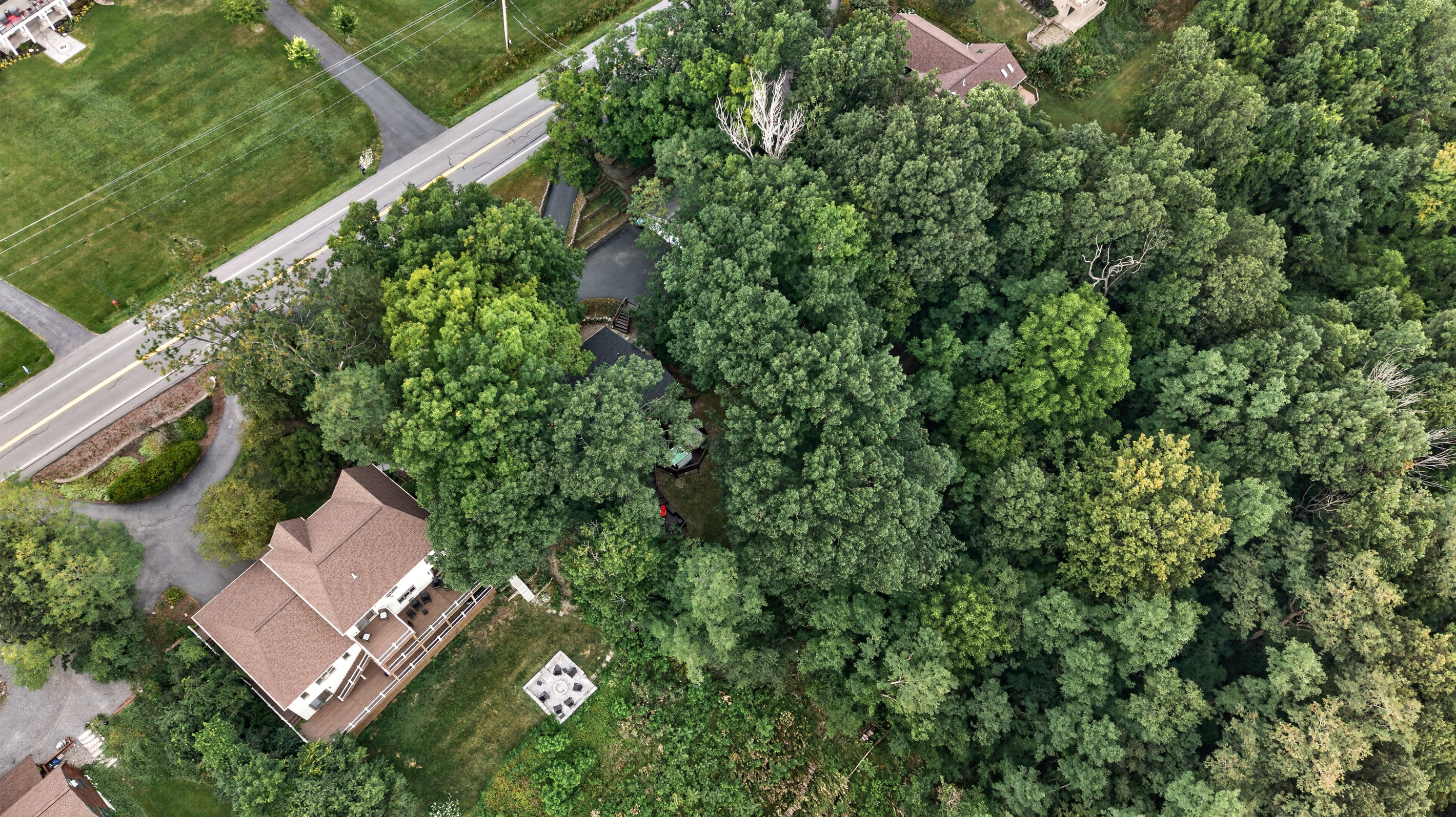 Home surrounded by dense trees