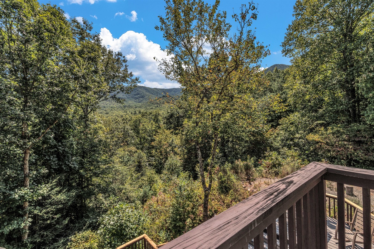 View from Balcony