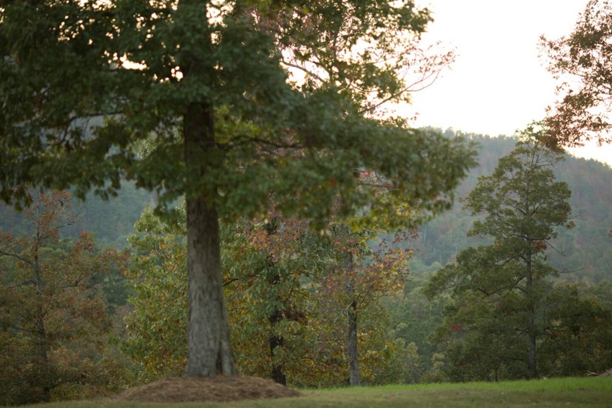 Scenic mountain views around cottage rentals