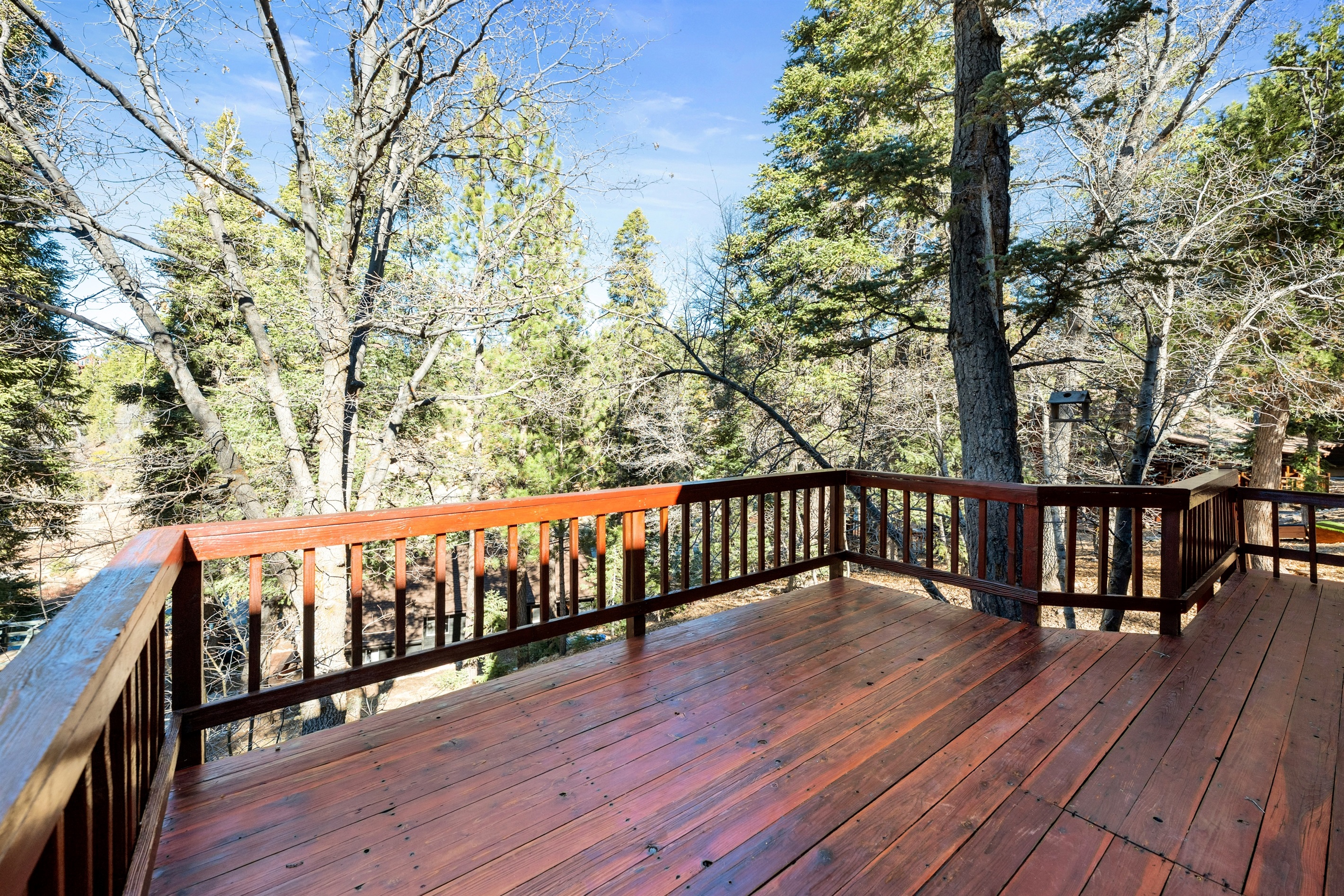 Back deck